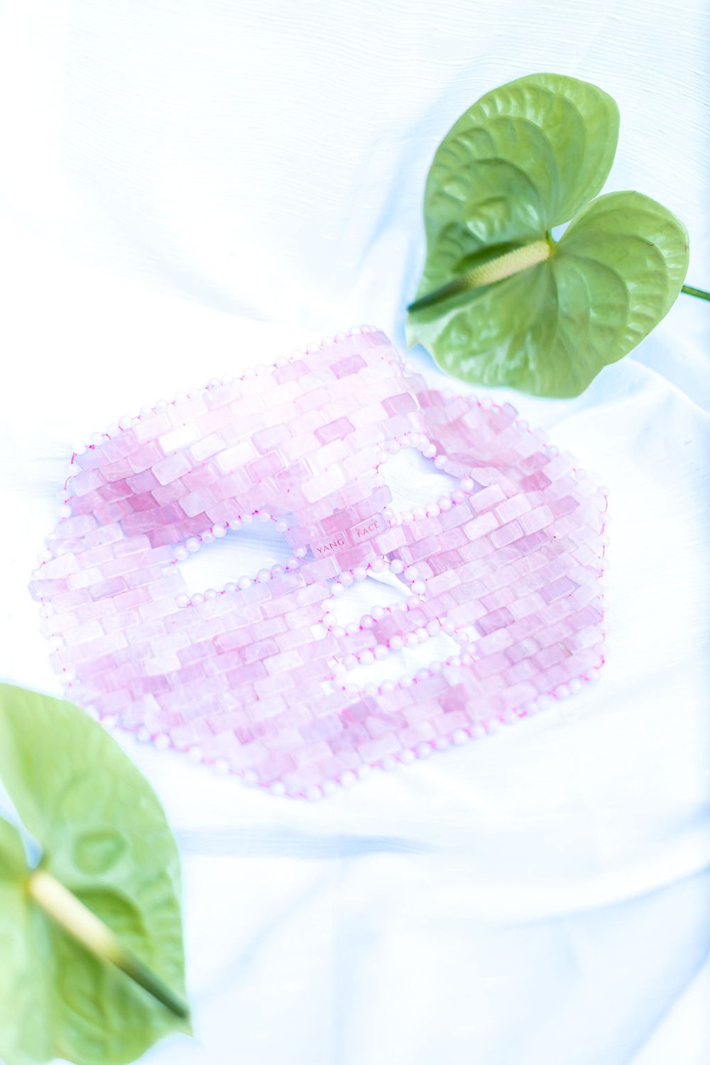 Full Face Mask